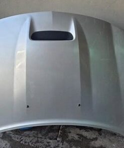 Dodge charger 2007 hood to 2010